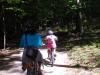 A deer crosses our path!